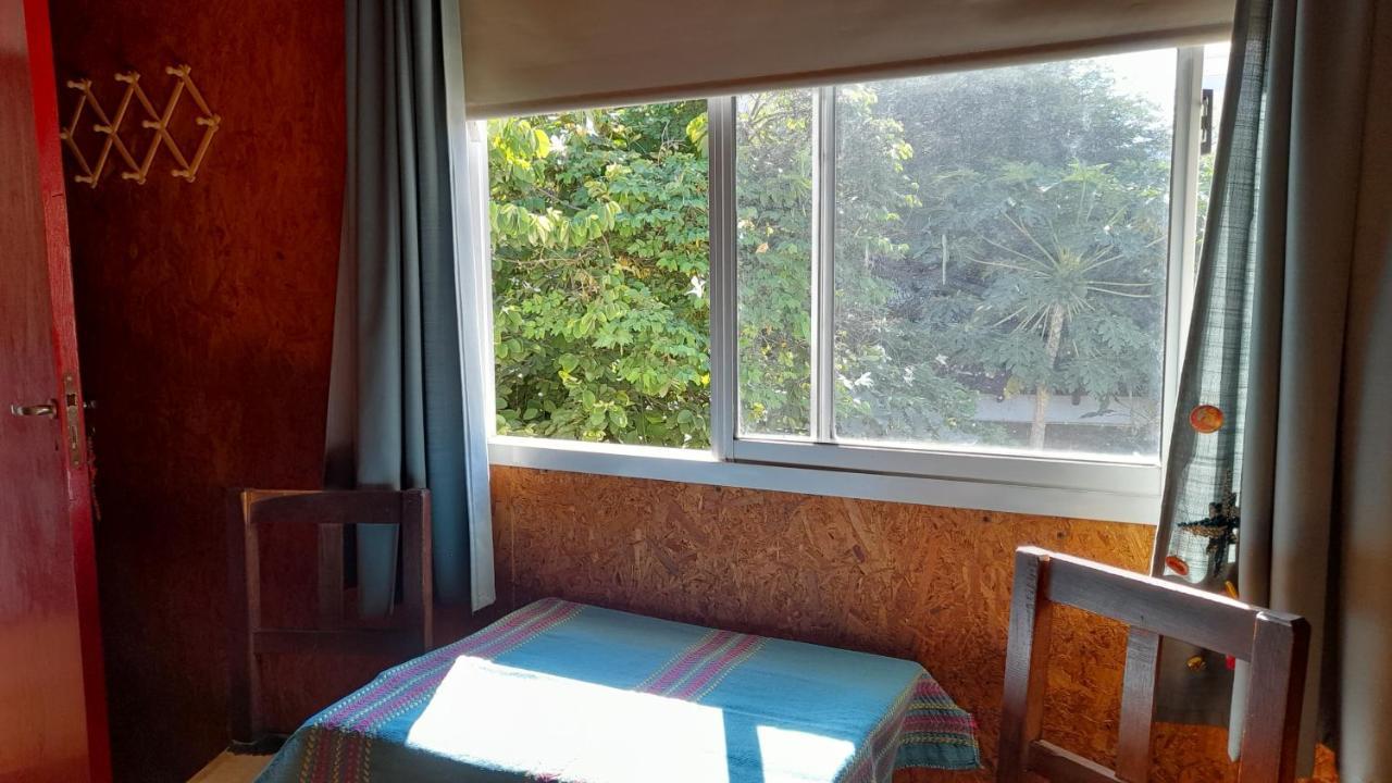 Campanita Amarilla Salta Exterior foto