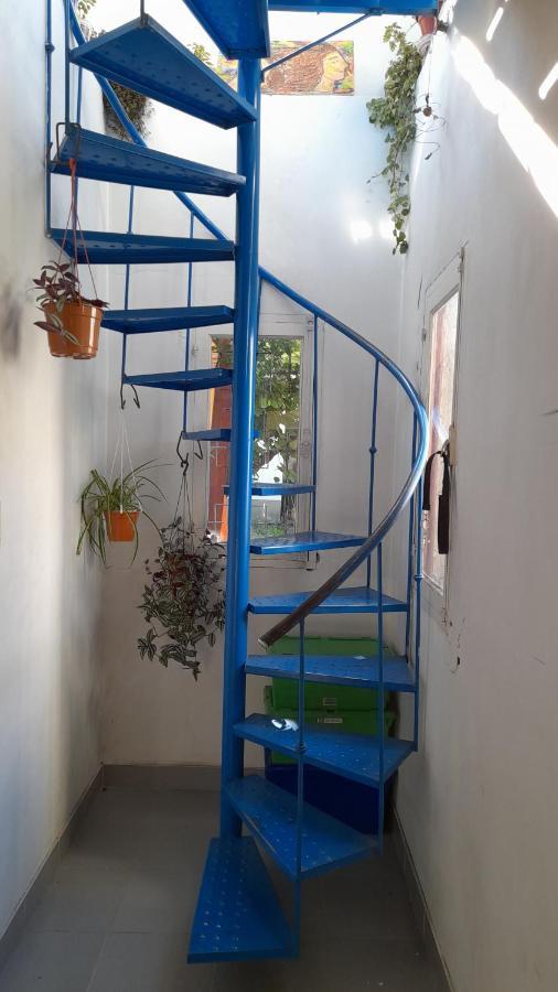 Campanita Amarilla Salta Exterior foto